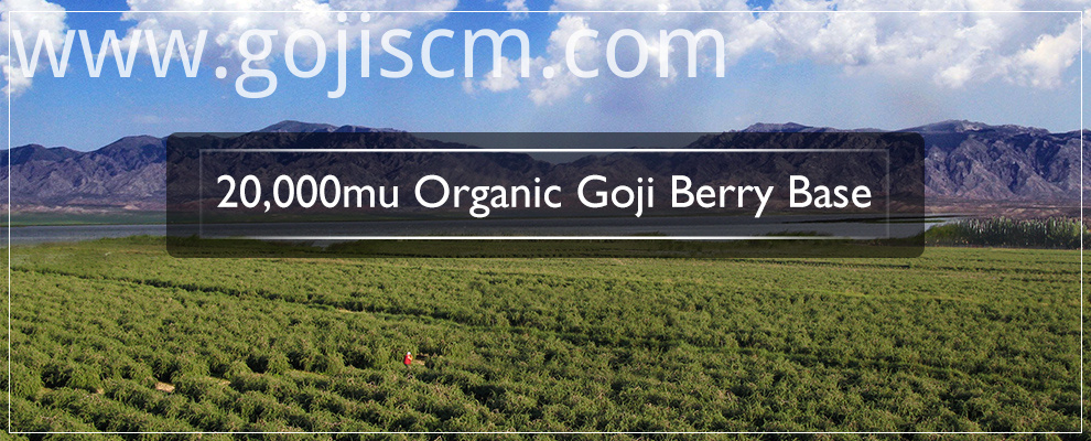 EU Certificate Dried Goji Berry base EU Certificate Dried Goji Berry base